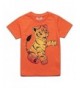 Peek Zoo Toddler Longsleeve Tshirts