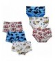 Closecret Toddler Cotton Underwear Assorted