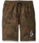 Volcom Deadly Stones Fleece Short