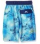 Trendy Boys' Swim Trunks