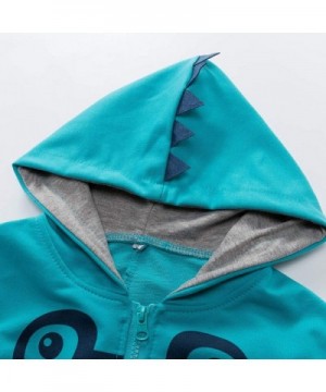 Cheapest Boys' Fashion Hoodies & Sweatshirts Online