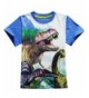 Shirts Toddler Sleeve T Shirts Dinosaur