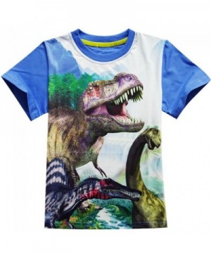 Shirts Toddler Sleeve T Shirts Dinosaur