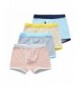 Orinery Cotton Underwear Striped Briefs