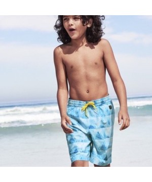 Hot deal Boys' Swim Trunks