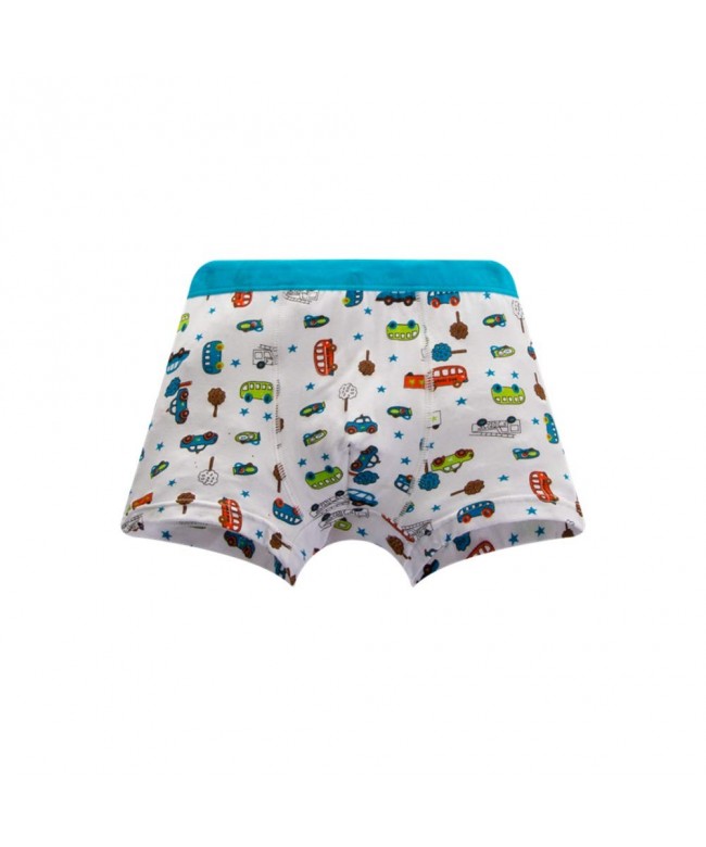 Toddler Little Boys Underwear Modal Cotton Boxer Briefs 5 Pack Car ...
