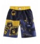 DC Comics Boys Batman Trunks