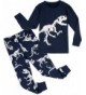 COSLAND Boys Dinosaur Sleeve Pajamas