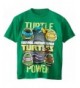 Teenage Mutant Turtles T Shirt X Large