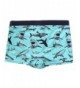 Designer Boys' Swim Trunks On Sale