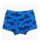 Brands Boys' Underwear