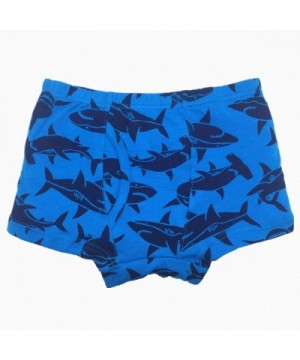 Brands Boys' Underwear