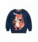 DDSOL Dinosaur Sweatshirt Crewneck Pullover