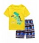 Children Cartoon Dinosaur Pyjamas Clothing