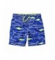 Carters Boys Neon Shark Trunks