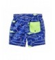 New Trendy Boys' Swim Trunks Wholesale