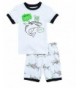 Little Pajamas100 Clothes Toddler Sleepwear